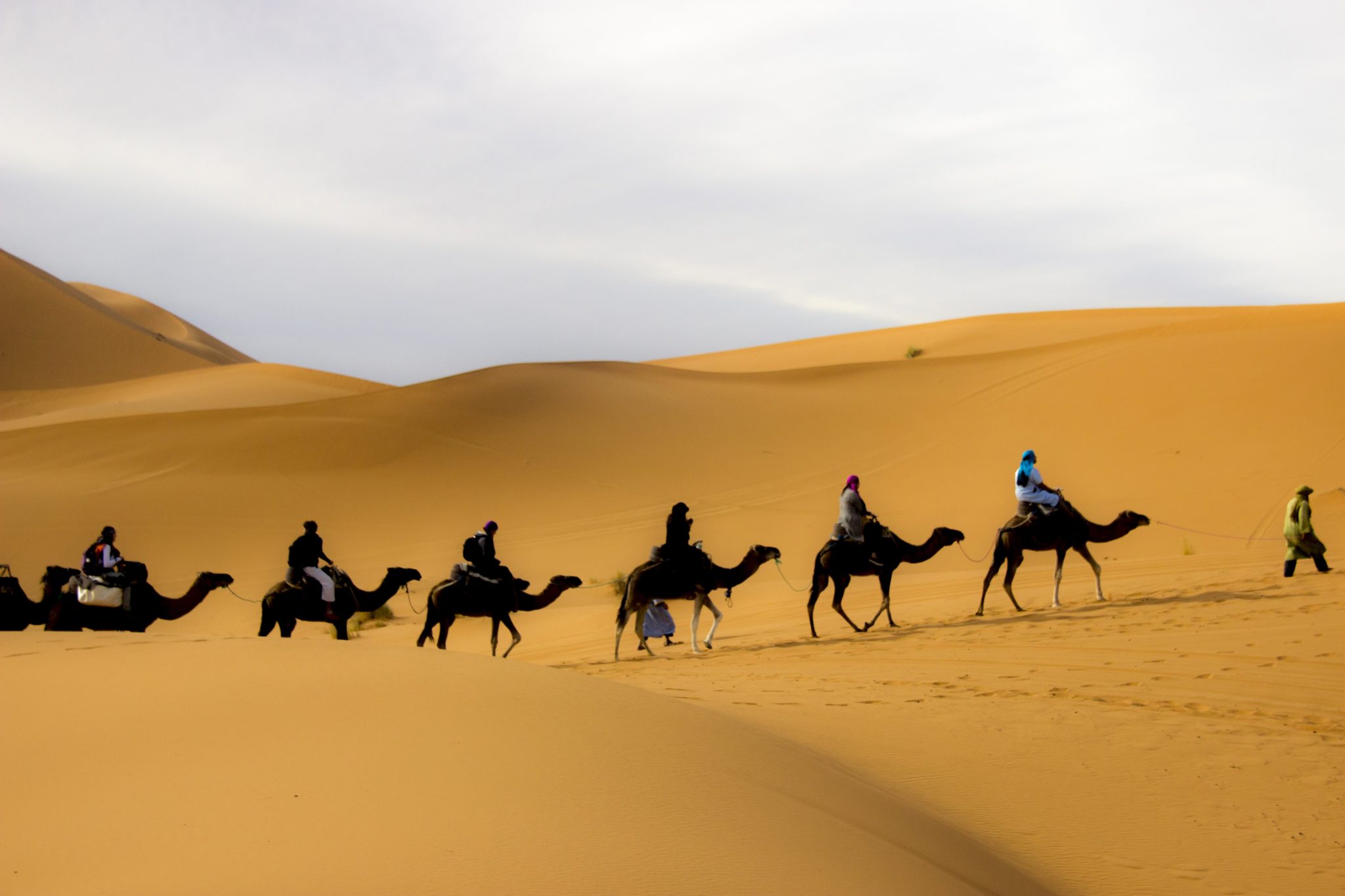 Expedición en camello por el desierto para realizar yoga